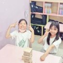 나비초 이미지