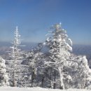 의료법인 의왕시티의료재단 시티병원 이미지