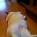 짐 - 북구 함박봉로7번길 49 | 짐