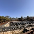 솔리(구 서일농원) | [안성맛집, 일죽버스터미널 근처 맛집] 서일농원 솔리 청국장 후기｜기대가 컸던 만큼, 생각보다 담백...