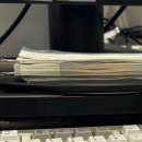 하능깃털 | 오랜만갑입니다