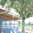 칠성민박 이미지