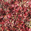 미암3리 경로당 이미지