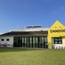 단독 dandog 이미지