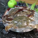 꽃게향농수산 | 대한민국농수산 제철 꽃게 산지직송 1kg 솔직 후기