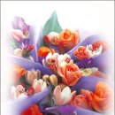 아름답개 이미지