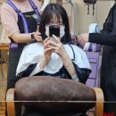 구월동 미용실 본비반트 본점에서 블랙 커런트 색상 염색 후기