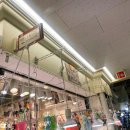 종로-신교-종로-신-266 | 동대문볼꾸 아이랑 다녀온 솔직 후기 | 하이그린 A5077 위치·가격·일요일 운영