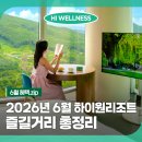 하이원스파