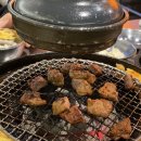 안산갈매기 이미지