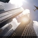 벌떼유통 이미지