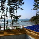 곰섬올레 | 태안해루질펜션 곰섬올레펜션 태안갯벌체험펜션 물때 맞춰 맛조개 잡고 숙소까지!