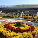 황룡강변 이미지