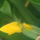 춘호농장 이미지