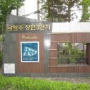 크린화이트21 이미지