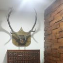 최평락한의원 이미지