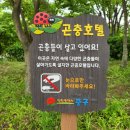 놀이어린이공원 방범용CCTV | 영종도 공항신도시 - 매화공원 &amp; 앵두공원