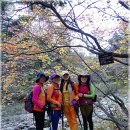 휴양림약수 이미지