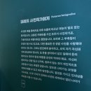 서울 : 따뜻한 휴일의 기록 (요시고 사진전 관람)