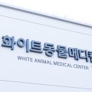 화이트동물메디컬센터 이미지
