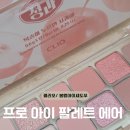 프로 아이 팔레트 에어 09 피치메이트애플 후기 | 봄웜 데일리 피치 아이팔레트, 올리브영 내돈 구매