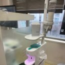 백세튼튼플란트치과의원 이미지