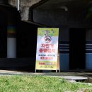 라라라디자인