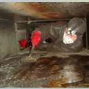 곡선초등학교 이미지