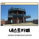 해맞이로 | 포항 호미곶 오션뷰 대형카페 네스트카페 내돈내산 장단점 후기
