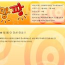 [체험단 모집]안양 범계 1:1 맞춤 헤어샾 한스헤어&amp;스킨