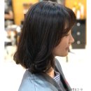 미시안헤어