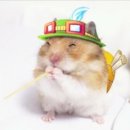 수원-2046 이미지