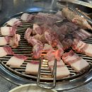 제주명돼지 이미지