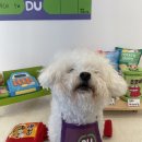 해뜨는댕 이미지