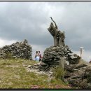 영락농원 -5 이미지