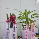 둘하나족발 이미지