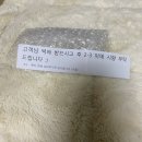 클린앤미디어 | 생화같은 깊은 향기 제이앤랩 라일락 니치향수