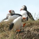 와일드 동물병원 이미지