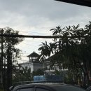 가죽이랑놀자 | 발리 신혼여행 21탄 쇼핑센터 방문기, 폴로 핸드크림 사온 이유