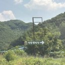 서울근교 계곡캠핑장 추천 낚시터가 있는 연천 연몽캠핑장 솔직후기