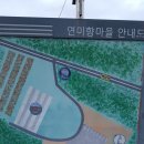 연미향마을캠핑장 이미지