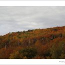 (주)고원 이미지