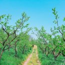 기덕농장 이미지