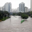 온천천일대6 이미지