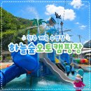 하늘숲오토캠핑장 | 완주 계곡 평상 있는 하늘숲오토캠핑장｜수영장·어린이놀이터까지