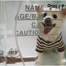 도그원동물의료센터 이미지