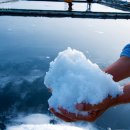 솔뫼농장 이미지