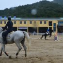 순창군승마장 이미지