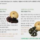 오이 효능 안좋은점 칼로리 오이의먹으면 좋은점 이미지