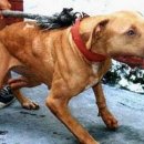 메이데이 이미지